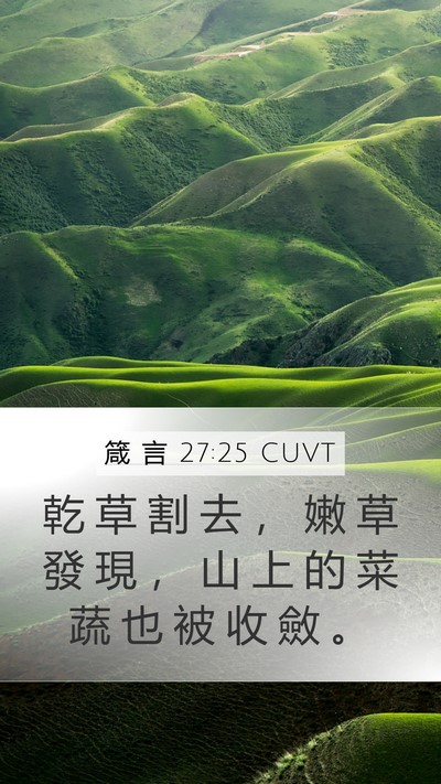 箴 言 27:25 CUVT Mobile Phone Wallpaper - 乾 草 割 去 ， 嫩 草 發 現 ， 山 上 - Mobile Bible Verse Wallpaper