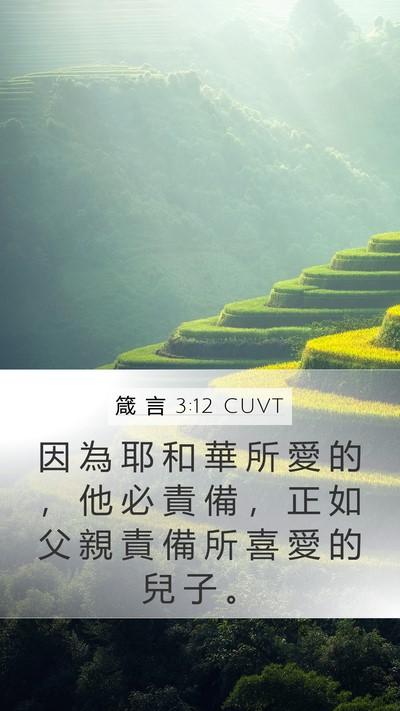 箴 言 3:12 CUVT Bible Verse Image