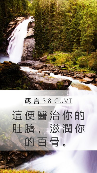 箴 言 3:8 CUVT Bible Verse Image