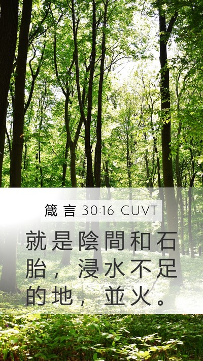 箴 言 30:16 CUVT Bible Verse Image
