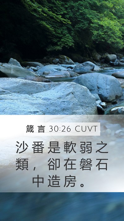 箴 言 30:26 CUVT Mobile Phone Wallpaper - 沙 番 是 軟 弱 之 類 ， 卻 在 磐 石 - Mobile Bible Verse Wallpaper