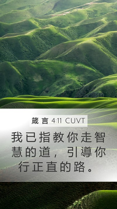 箴 言 4:11 CUVT Mobile Phone Wallpaper - 我 已 指 教 你 走 智 慧 的 道 ， 引 - Mobile Bible Verse Wallpaper