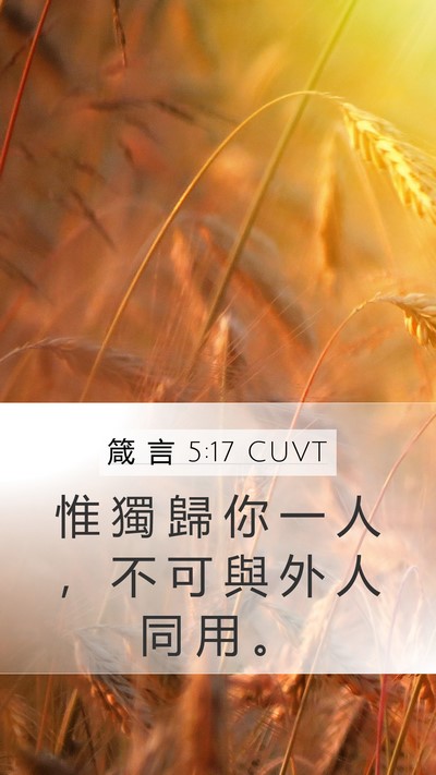 箴 言 5:17 CUVT Mobile Phone Wallpaper - 惟 獨 歸 你 一 人 ， 不 可 與 外 人 - Mobile Bible Verse Wallpaper