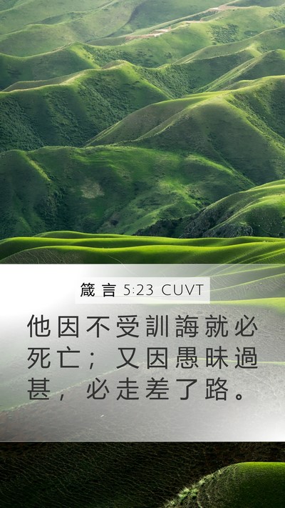 箴 言 5:23 CUVT Bible Verse Image