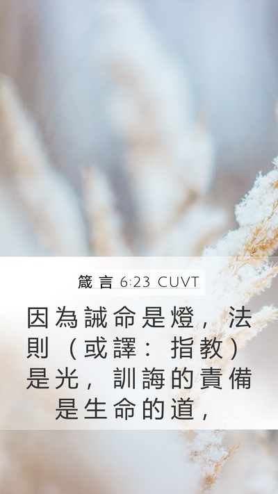 箴 言 6:23 CUVT Bible Verse Image