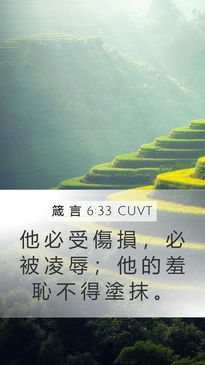 箴 言 6:33 CUVT Bible Verse Image