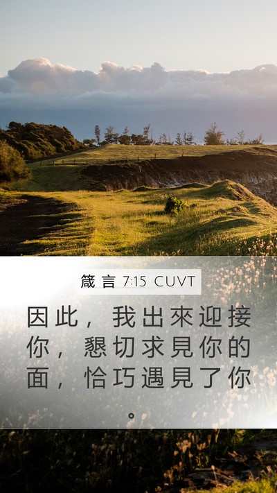 箴 言 7:15 CUVT Mobile Phone Wallpaper - 因 此 ， 我 出 來 迎 接 你 ， 懇 切 - Mobile Bible Verse Wallpaper