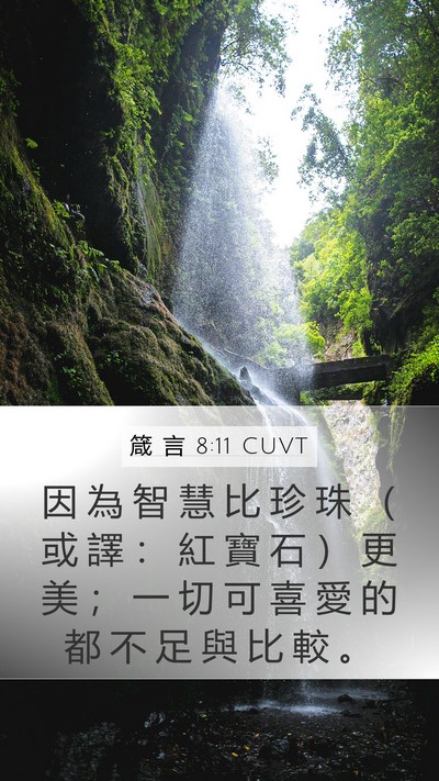 箴 言 8:11 CUVT Bible Verse Image