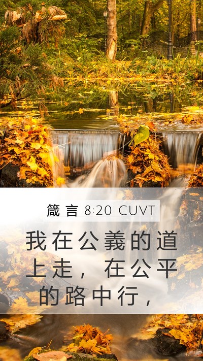 箴 言 8:20 CUVT Bible Verse Image