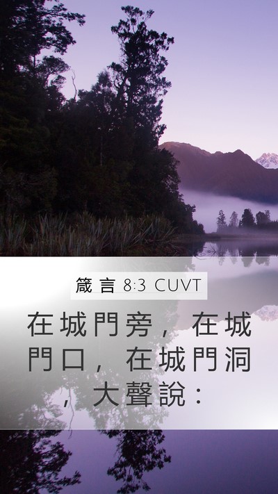 箴 言 8:3 CUVT Mobile Phone Wallpaper - 在 城 門 旁 ， 在 城 門 口 ， 在 城 - Mobile Bible Verse Wallpaper