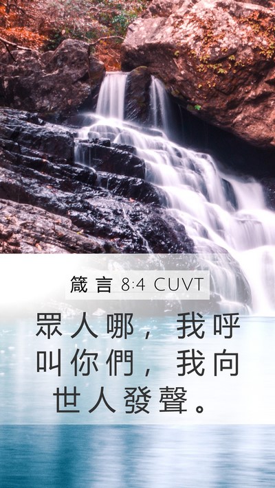 箴 言 8:4 CUVT Bible Verse Image