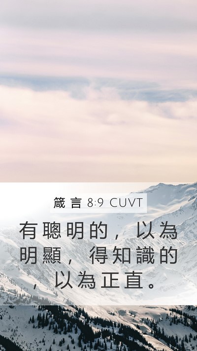 箴 言 8:9 CUVT Bible Verse Image