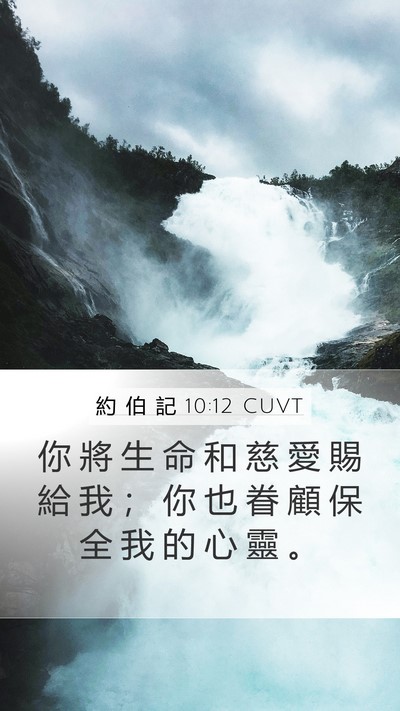 約 伯 記 10:12 CUVT Bible Verse Image