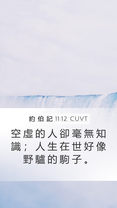 約 伯 記 11:12 CUVT Bible Verse Image