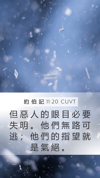 約 伯 記 11:20 CUVT Bible Verse Image