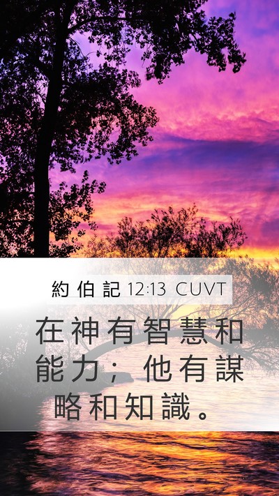約 伯 記 12:13 CUVT Bible Verse Image