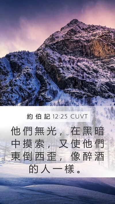 約 伯 記 12:25 CUVT Bible Verse Image