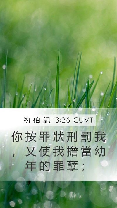 約 伯 記 13:26 CUVT Bible Verse Image