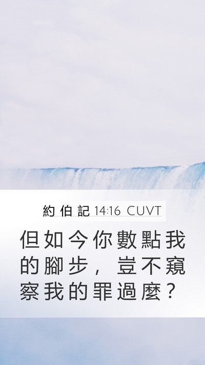 約 伯 記 14:16 CUVT Bible Verse Image