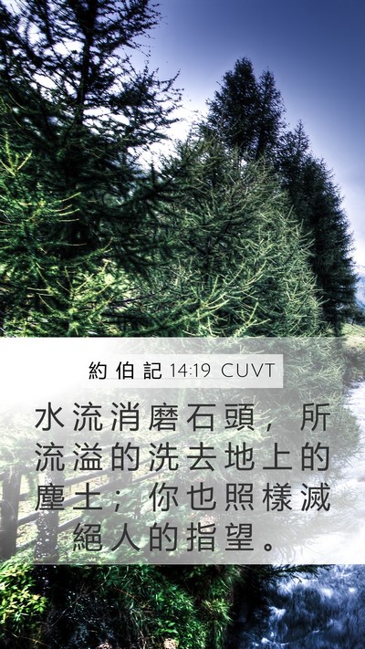 約 伯 記 14:19 CUVT Bible Verse Image