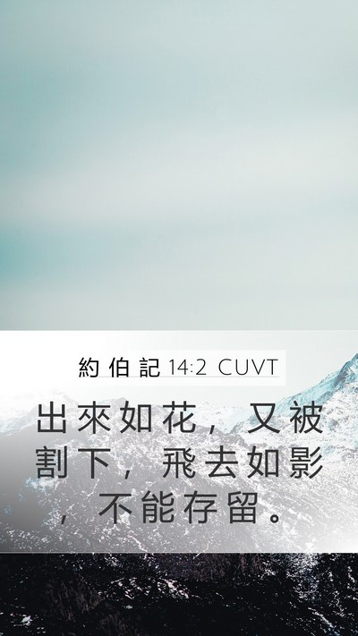 約 伯 記 14:2 CUVT Bible Verse Image