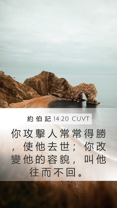 約 伯 記 14:20 CUVT Bible Verse Image