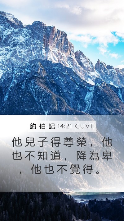 約 伯 記 14:21 CUVT Bible Verse Image