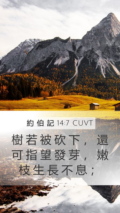 約 伯 記 14:7 CUVT Bible Verse Image