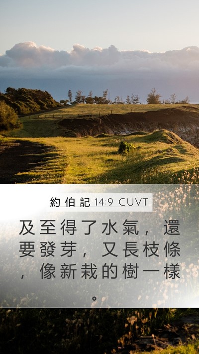 約 伯 記 14:9 CUVT Mobile Phone Wallpaper - 及 至 得 了 水 氣 ， 還 要 發 芽 ， - Mobile Bible Verse Wallpaper