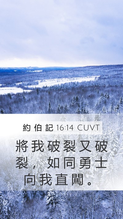 約 伯 記 16:14 CUVT Bible Verse Image
