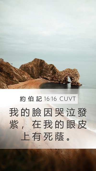 約 伯 記 16:16 CUVT Bible Verse Image
