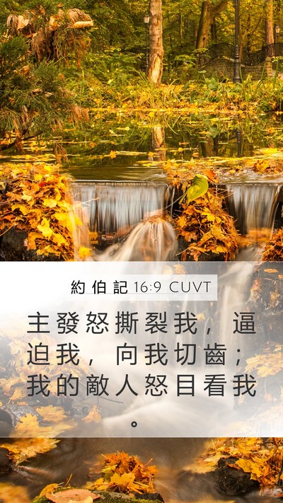 約 伯 記 16:9 CUVT Bible Verse Image