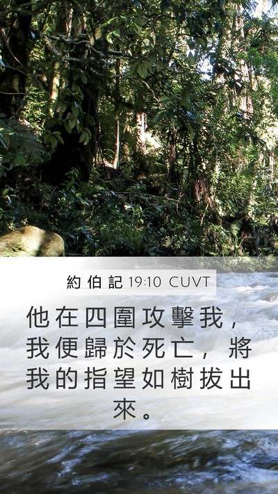 約 伯 記 19:10 CUVT Bible Verse Image