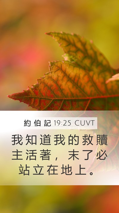 約 伯 記 19:25 CUVT Bible Verse Image