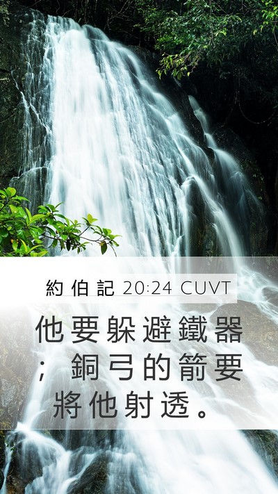 約 伯 記 20:24 CUVT Bible Verse Image