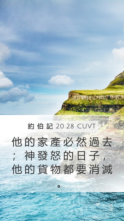 約 伯 記 20:28 CUVT Bible Verse Image