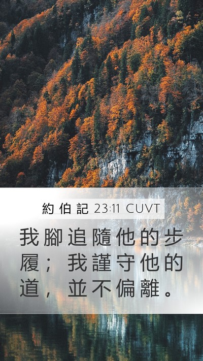 約 伯 記 23:11 CUVT Bible Verse Image