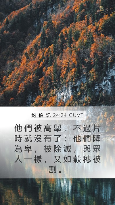 約 伯 記 24:24 CUVT Bible Verse Image