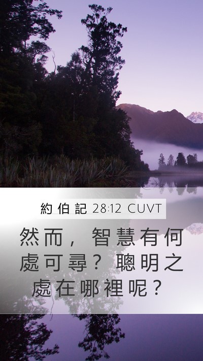 約 伯 記 28:12 CUVT Bible Verse Image