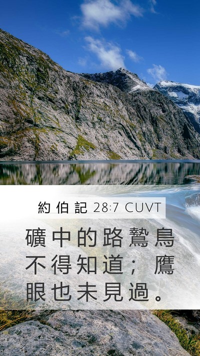約 伯 記 28:7 CUVT Bible Verse Image