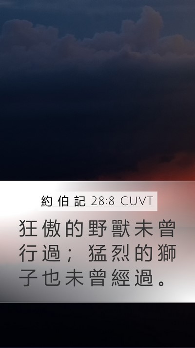 約 伯 記 28:8 CUVT Mobile Phone Wallpaper - 狂 傲 的 野 獸 未 曾 行 過 ； 猛 烈 - Mobile Bible Verse Wallpaper