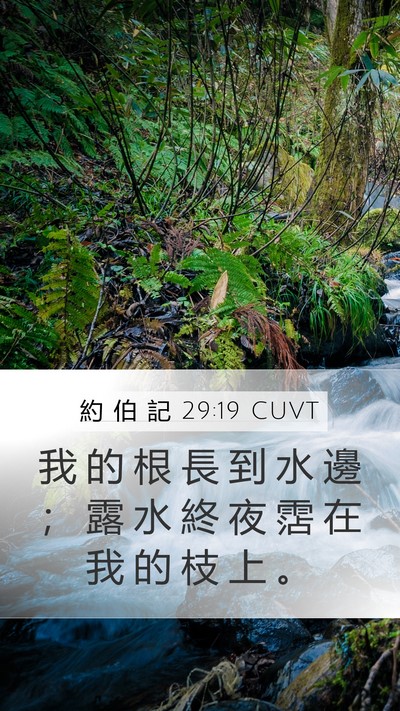 約 伯 記 29:19 CUVT Bible Verse Image