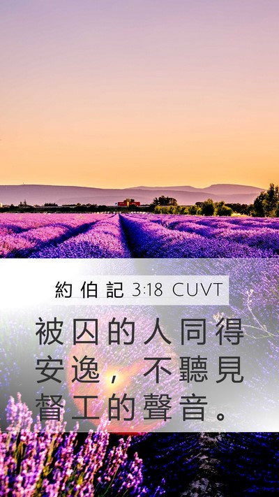 約 伯 記 3:18 CUVT Bible Verse Image
