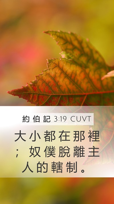 約 伯 記 3:19 CUVT Mobile Phone Wallpaper - 大 小 都 在 那 裡 ； 奴 僕 脫 離 主 - Mobile Bible Verse Wallpaper