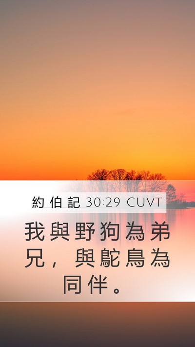 約 伯 記 30:29 CUVT Bible Verse Image