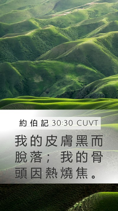 約 伯 記 30:30 CUVT Bible Verse Image
