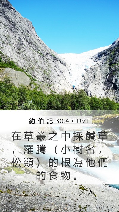 約 伯 記 30:4 CUVT Mobile Phone Wallpaper - 在 草 叢 之 中 採 鹹 草 ， 羅 騰 （ - Mobile Bible Verse Wallpaper