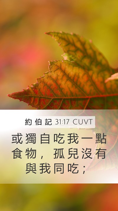 約 伯 記 31:17 CUVT Bible Verse Image