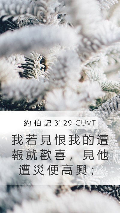 約 伯 記 31:29 CUVT Bible Verse Image