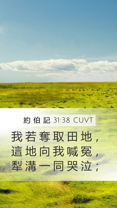 約 伯 記 31:38 CUVT Bible Verse Image